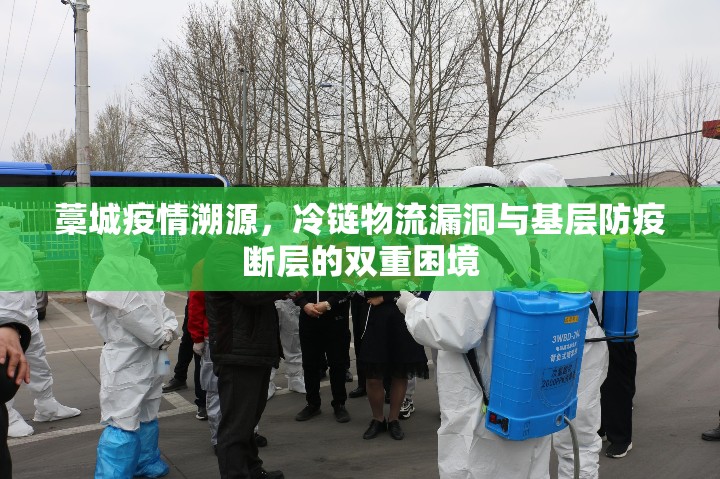 藁城疫情溯源，冷链物流漏洞与基层防疫断层的双重困境