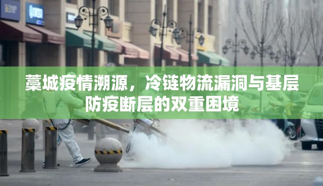 藁城疫情溯源，冷链物流漏洞与基层防疫断层的双重困境