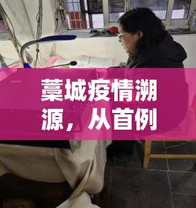 藁城疫情溯源，从首例报告到精准防控的48小时全记录（2022.11.1-11.8）
