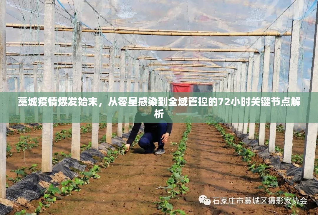 藁城疫情爆发始末，从零星感染到全域管控的72小时关键节点解析