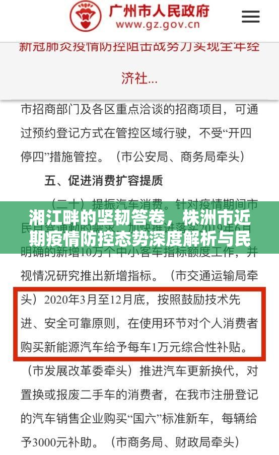 湘江畔的坚韧答卷，株洲市近期疫情防控态势深度解析与民生百态