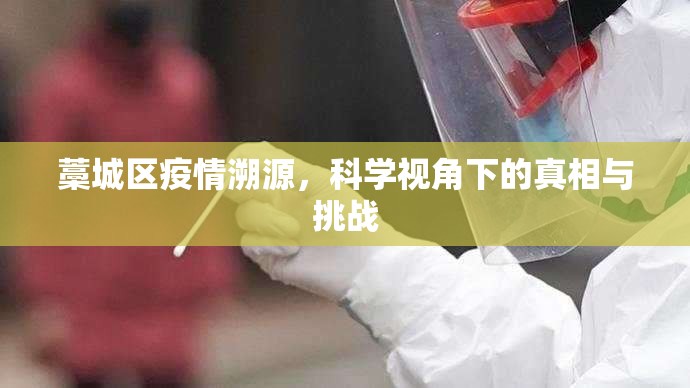 藁城区疫情溯源，科学视角下的真相与挑战
