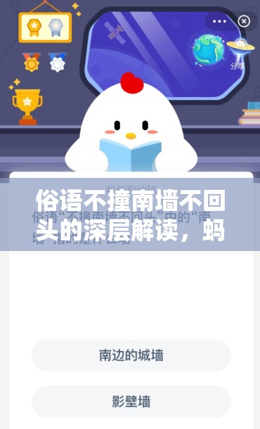 俗语不撞南墙不回头的深层解读，蚂蚁庄园中的智慧启示与人生哲理