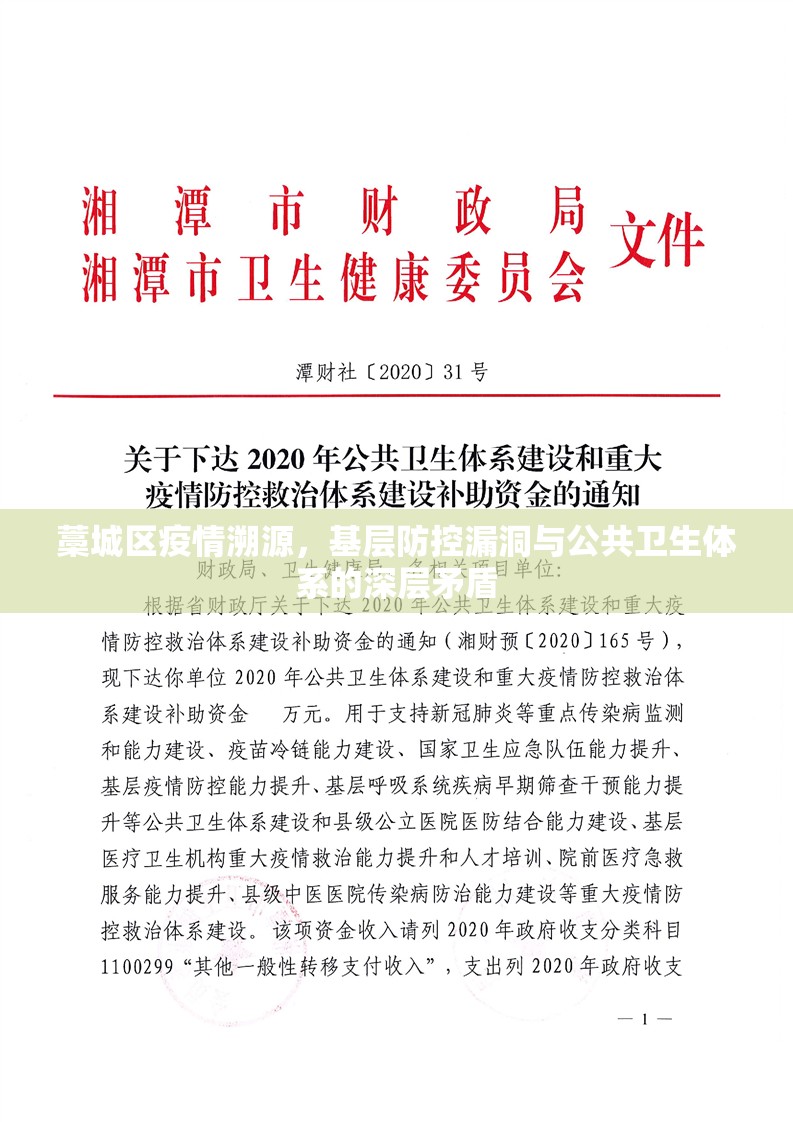藁城区疫情溯源,基层防控漏洞与公共卫生体系的深层矛盾 藁城区疫情溯源,基层防控漏洞与公共卫生体系的深层矛盾