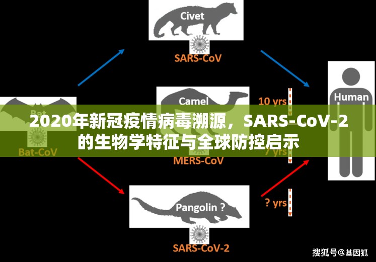 2020年新冠疫情病毒溯源，SARS-CoV-2的生物学特征与全球防控启示