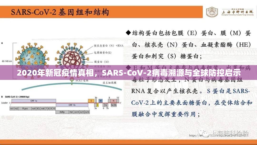 2020年新冠疫情真相，SARS-CoV-2病毒溯源与全球防控启示