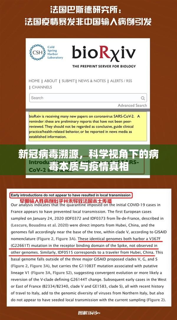 新冠病毒溯源，科学视角下的病毒本质与疫情真相