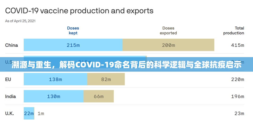 溯源与重生，解码COVID-19命名背后的科学逻辑与全球抗疫启示