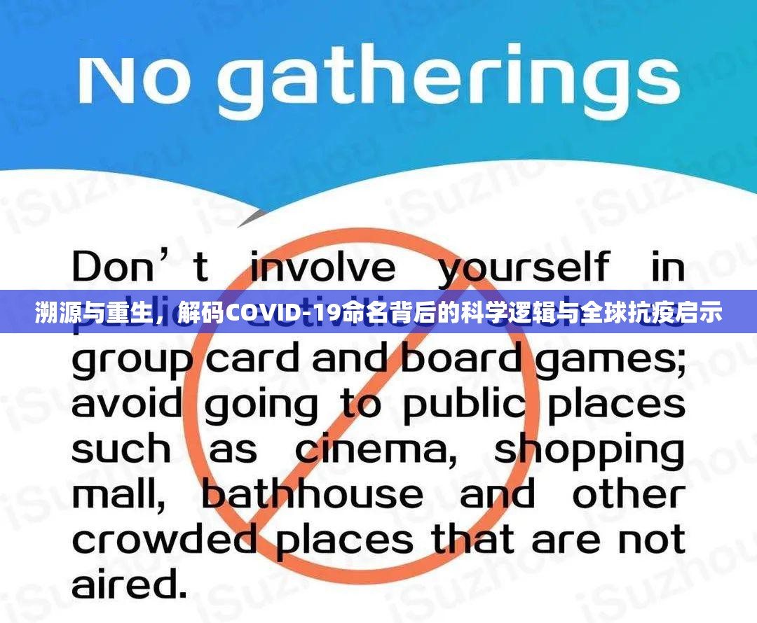 溯源与重生，解码COVID-19命名背后的科学逻辑与全球抗疫启示