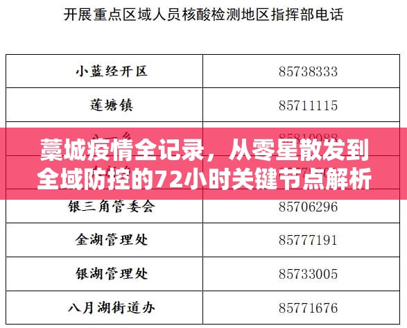 藁城疫情全记录，从零星散发到全域防控的72小时关键节点解析