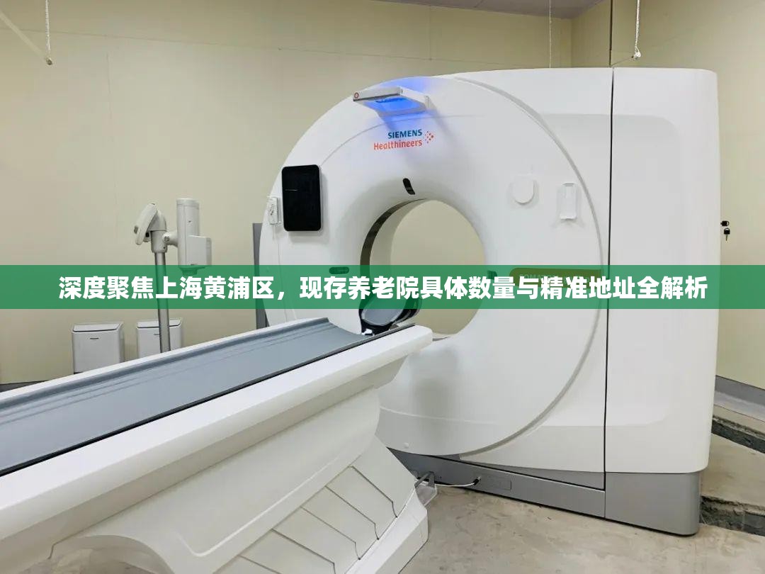 深度聚焦上海黄浦区,现存养老院具体数量与精准地址全解析 深度聚焦上海黄浦区,现存养老院具体数量与精准地址全解析