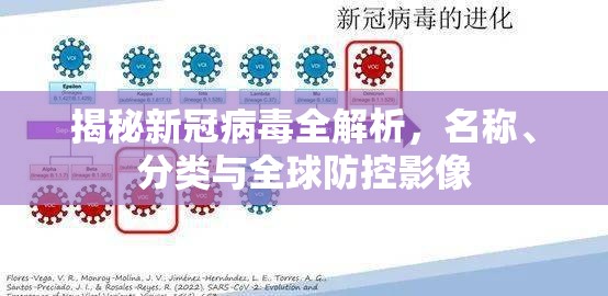 揭秘新冠病毒全解析,名称、分类与全球防控影像 揭秘新冠病毒全解析,名称、分类与全球防控影像