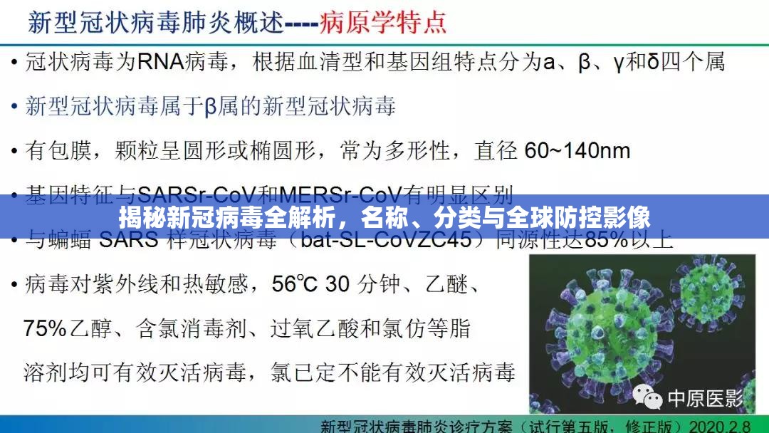 揭秘新冠病毒全解析,名称、分类与全球防控影像 揭秘新冠病毒全解析,名称、分类与全球防控影像
