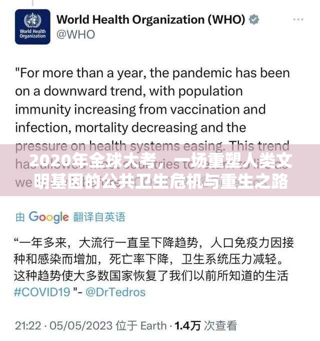 2020年全球大考，一场重塑人类文明基因的公共卫生危机与重生之路
