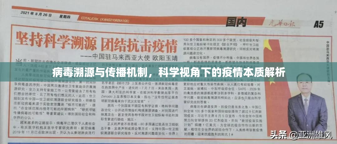 病毒溯源与传播机制,科学视角下的疫情本质解析 病毒溯源与传播机制,科学视角下的疫情本质解析