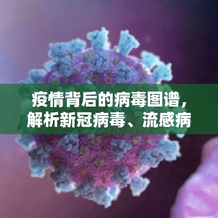 疫情背后的病毒图谱，解析新冠病毒、流感病毒与全球大流行的关联