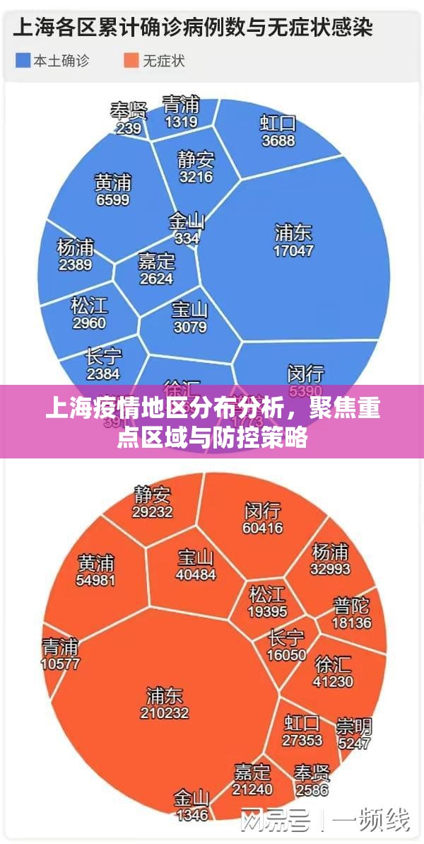 上海疫情地区分布分析,聚焦重点区域与防控策略 上海疫情地区分布分析,聚焦重点区域与防控策略