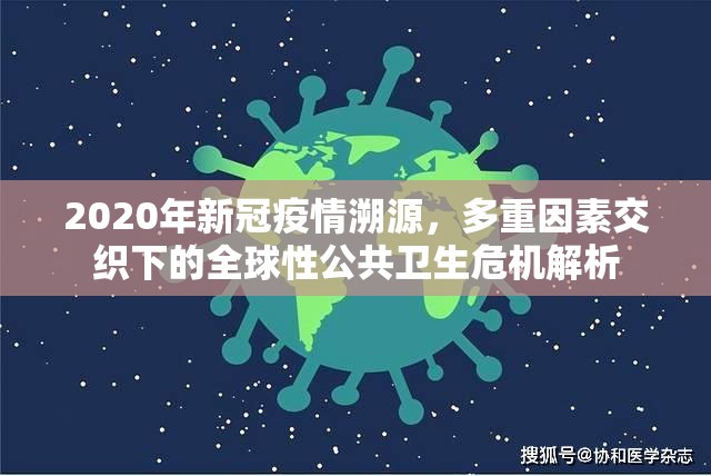 2020年新冠疫情溯源，多重因素交织下的全球性公共卫生危机解析