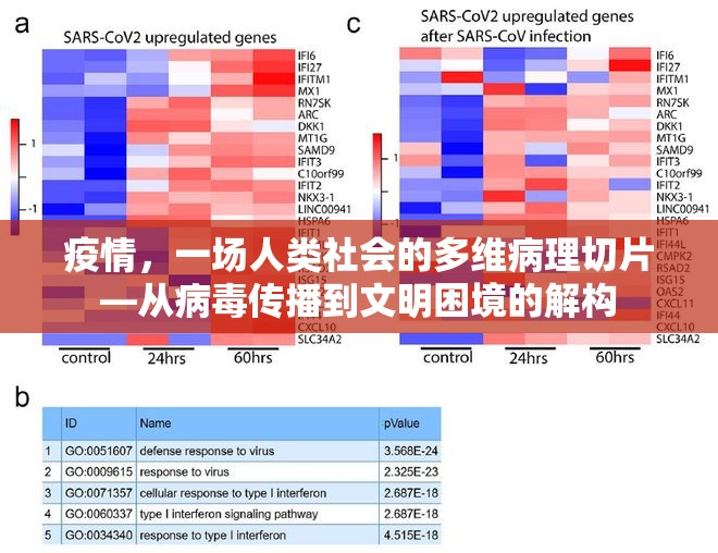 疫情，一场人类社会的多维病理切片—从病毒传播到文明困境的解构