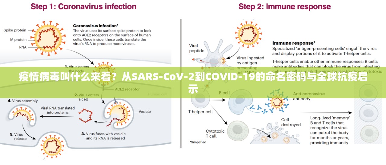疫情病毒叫什么来着？从SARS-CoV-2到COVID-19的命名密码与全球抗疫启示