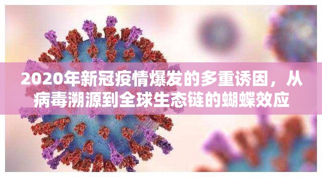 2020年新冠疫情爆发的多重诱因，从病毒溯源到全球生态链的蝴蝶效应