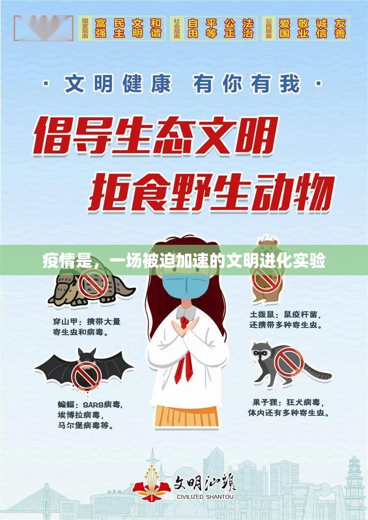 疫情是，一场被迫加速的文明进化实验