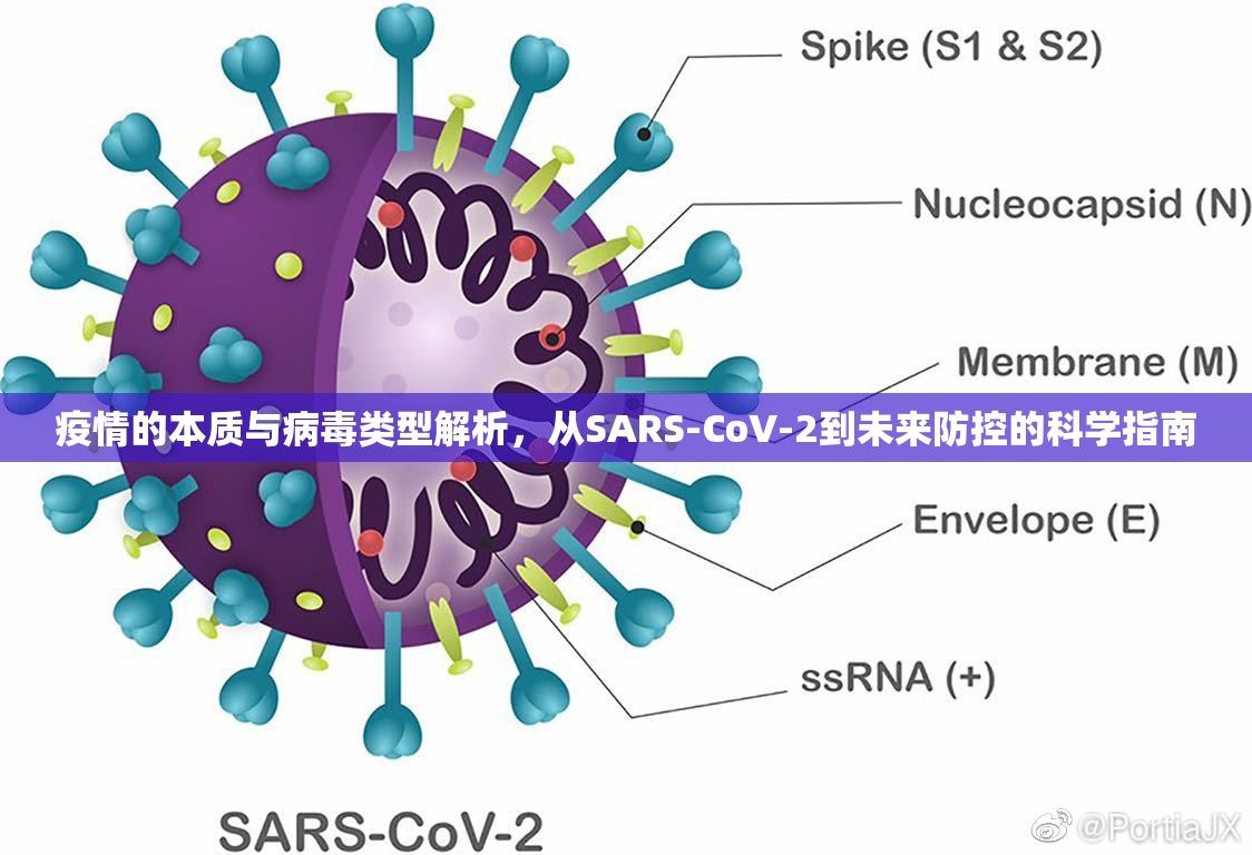 疫情的本质与病毒类型解析,从SARS-CoV-2到未来防控的科学指南 疫情的本质与病毒类型解析,从SARS-CoV-2到未来防控的科学指南