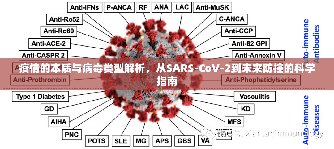 疫情的本质与病毒类型解析,从SARS-CoV-2到未来防控的科学指南 疫情的本质与病毒类型解析,从SARS-CoV-2到未来防控的科学指南