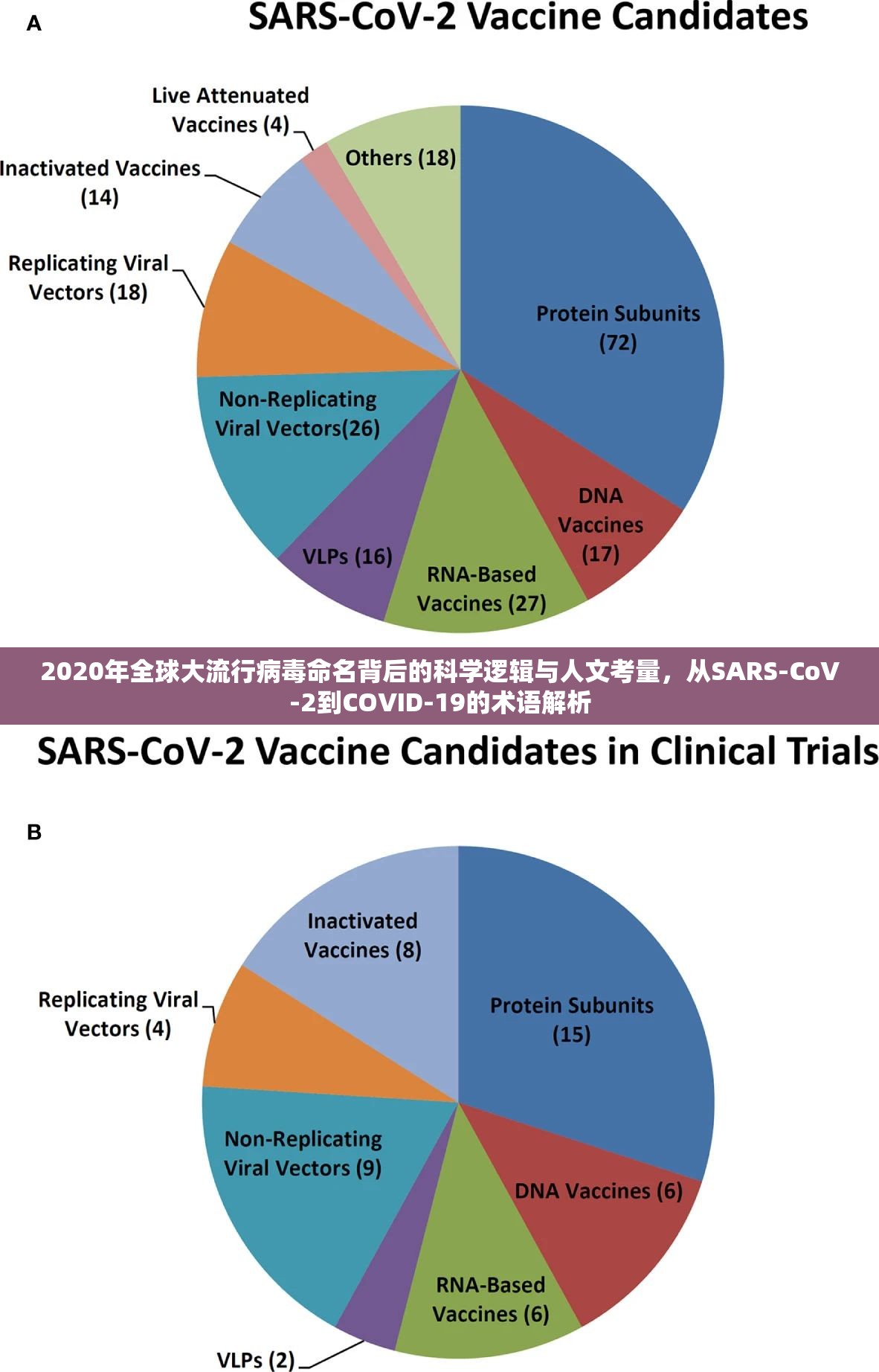 2020年全球大流行病毒命名背后的科学逻辑与人文考量，从SARS-CoV-2到COVID-19的术语解析