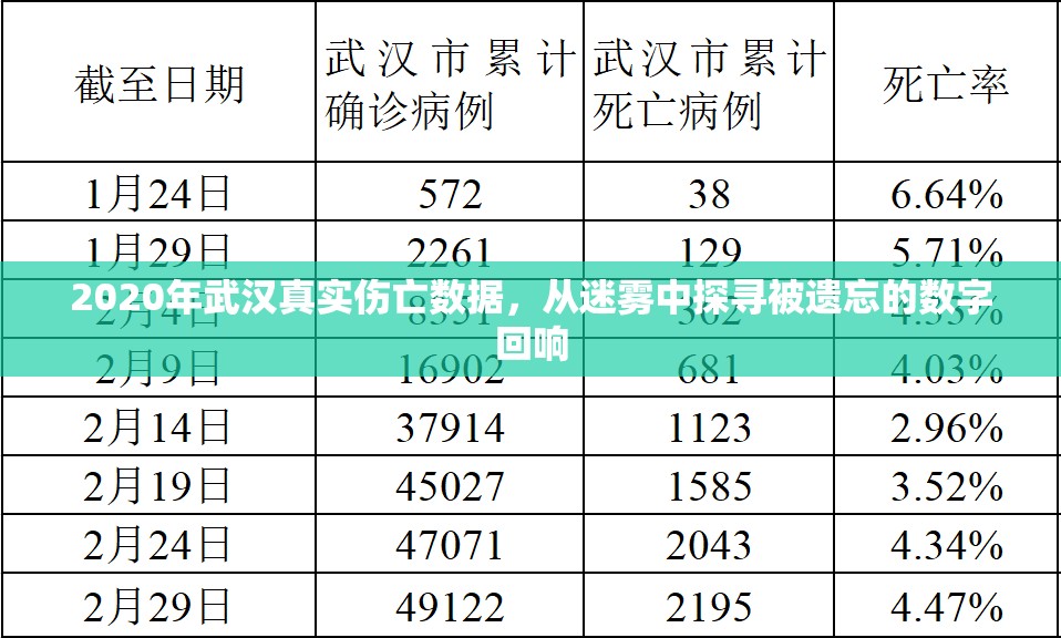 2020年武汉真实伤亡数据，从迷雾中探寻被遗忘的数字回响