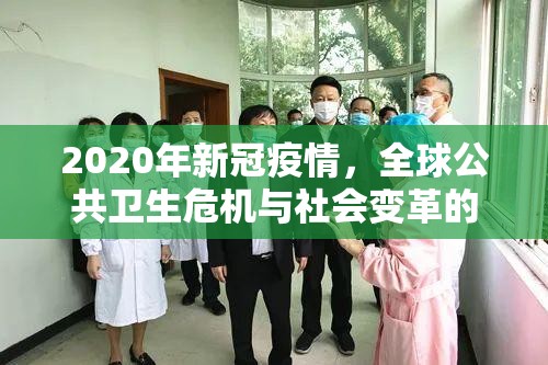 2020年新冠疫情，全球公共卫生危机与社会变革的转折点
