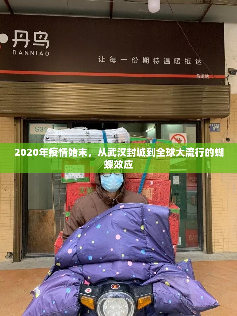 2020年疫情始末，从武汉封城到全球大流行的蝴蝶效应
