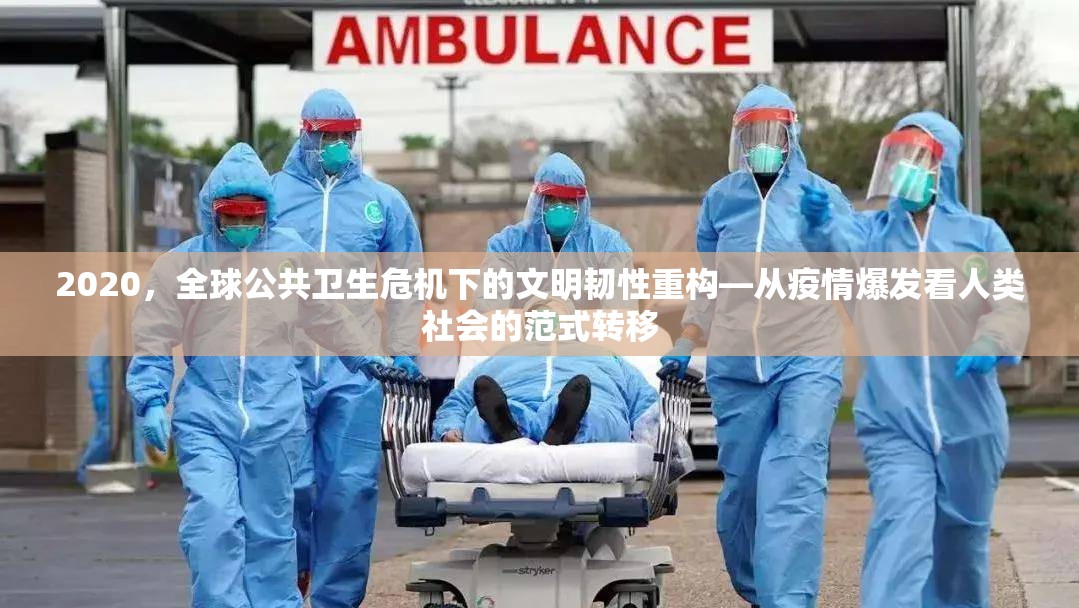2020，全球公共卫生危机下的文明韧性重构—从疫情爆发看人类社会的范式转移