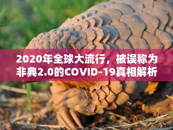 2020年全球大流行，被误称为非典2.0的COVID-19真相解析