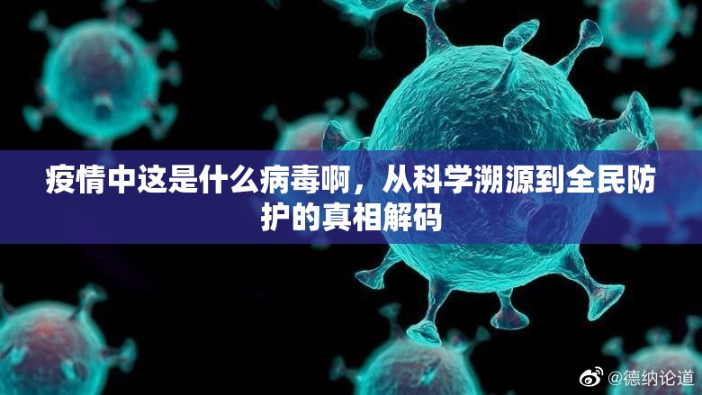 疫情中这是什么病毒啊，从科学溯源到全民防护的真相解码