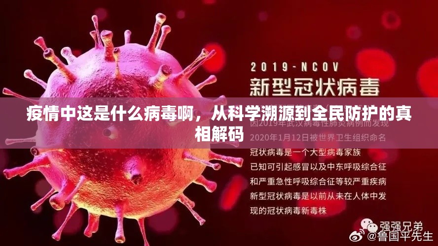 疫情中这是什么病毒啊，从科学溯源到全民防护的真相解码