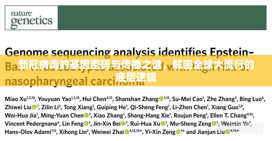 新冠病毒的基因密码与传播之谜，解密全球大流行的底层逻辑