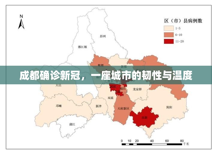 成都确诊新冠，一座城市的韧性与温度