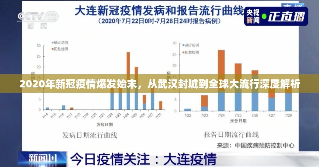 2020年新冠疫情爆发始末，从武汉封城到全球大流行深度解析