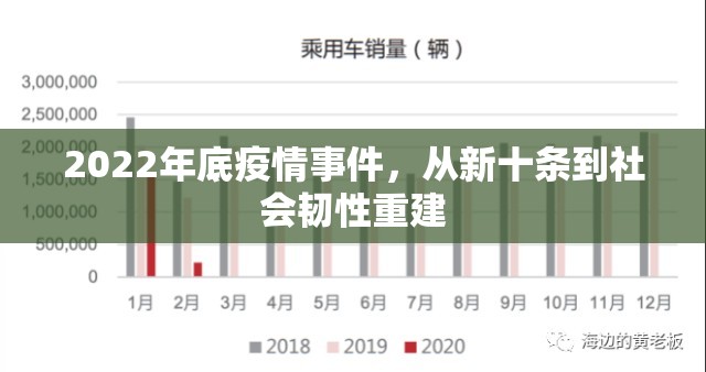 2022年底疫情事件，从新十条到社会韧性重建