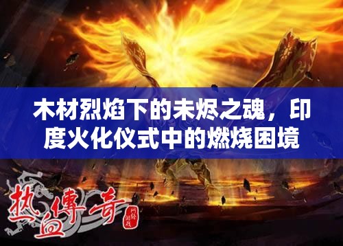 木材烈焰下的未烬之魂,印度火化仪式中的燃烧困境与生态迷思 木材烈焰下的未烬之魂,印度火化仪式中的燃烧困境与生态迷思