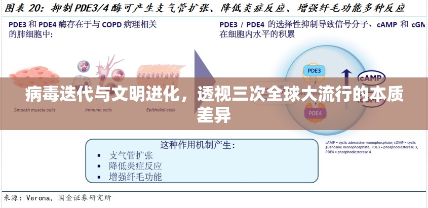 病毒迭代与文明进化，透视三次全球大流行的本质差异