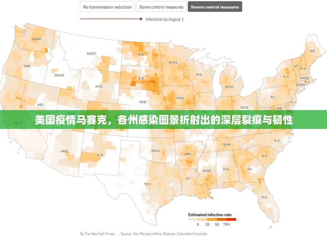 美国疫情马赛克，各州感染图景折射出的深层裂痕与韧性