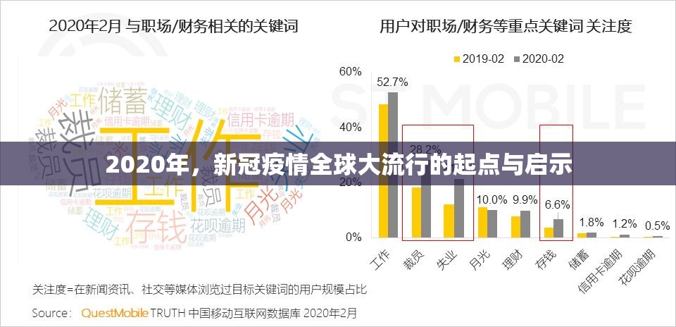 2020年，新冠疫情全球大流行的起点与启示