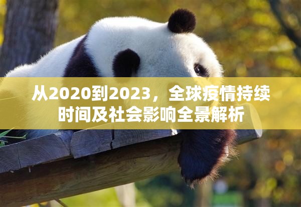 从2020到2023，全球疫情持续时间及社会影响全景解析