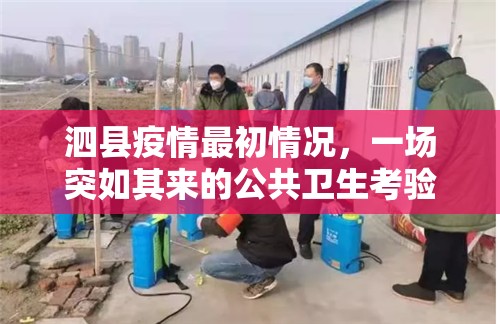 泗县疫情最初情况，一场突如其来的公共卫生考验