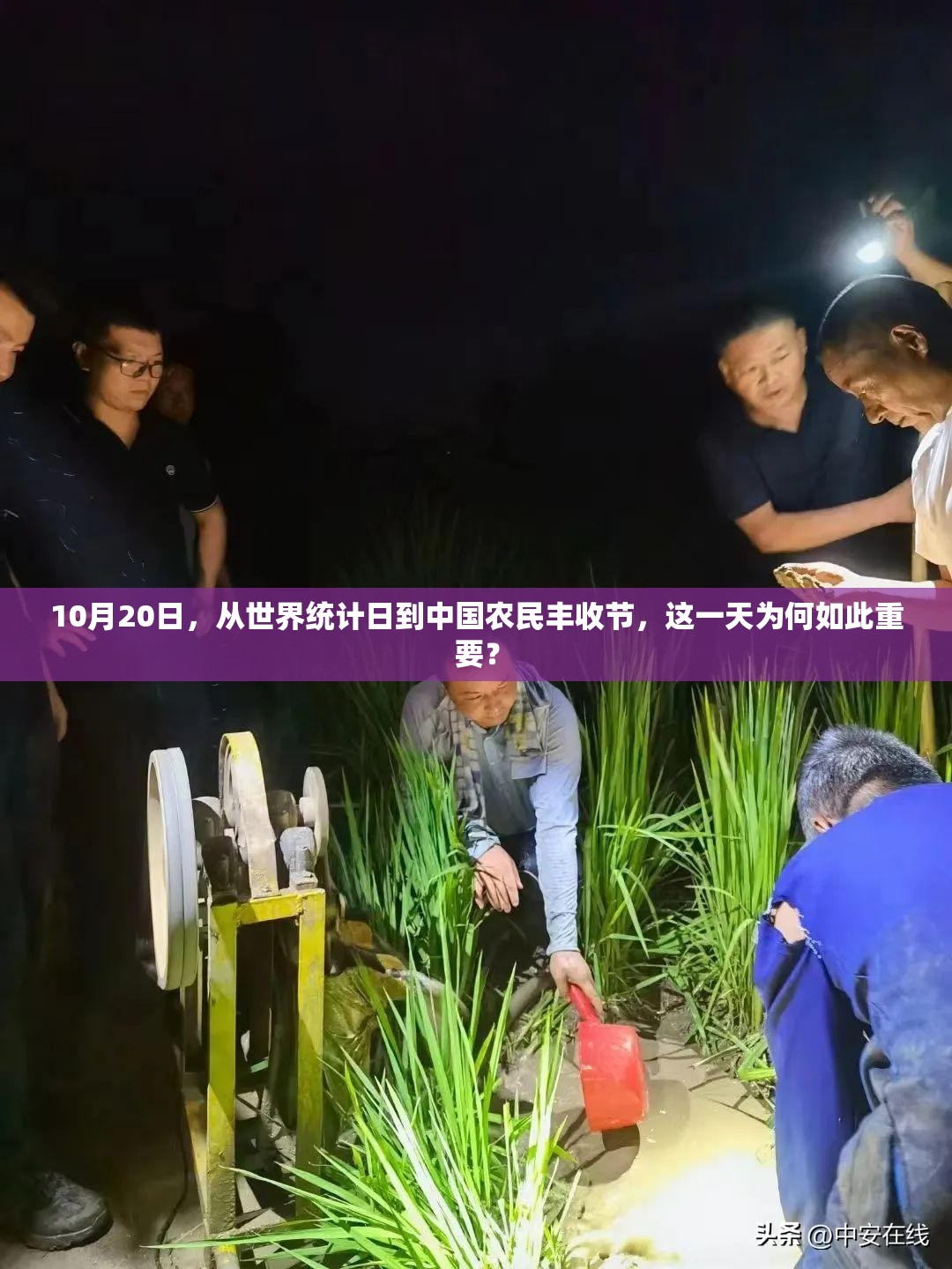 10月20日,从世界统计日到中国农民丰收节,这一天为何如此重要? 10月20日,从世界统计日到中国农民丰收节,这一天为何如此重要?