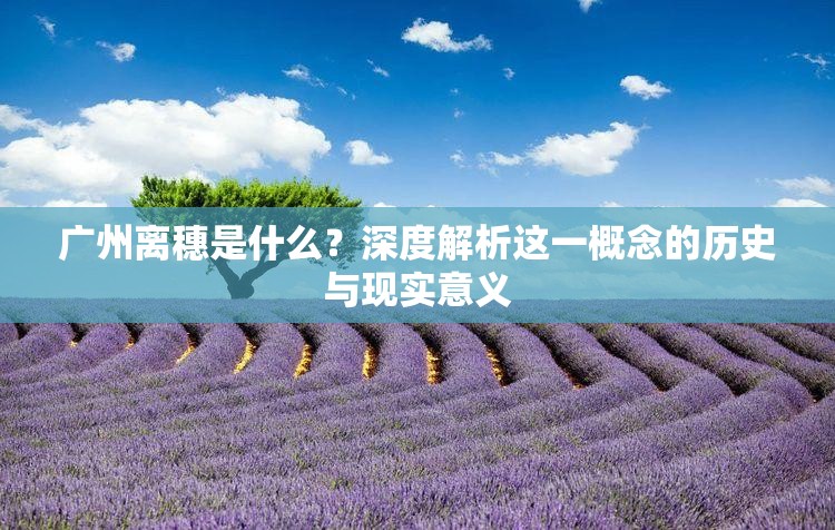 广州离穗是什么?深度解析这一概念的历史与现实意义 广州离穗是什么?深度解析这一概念的历史与现实意义