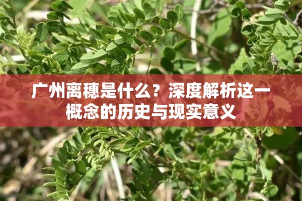 广州离穗是什么?深度解析这一概念的历史与现实意义 广州离穗是什么?深度解析这一概念的历史与现实意义