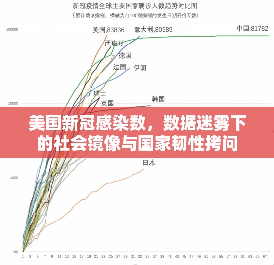美国新冠感染数，数据迷雾下的社会镜像与国家韧性拷问